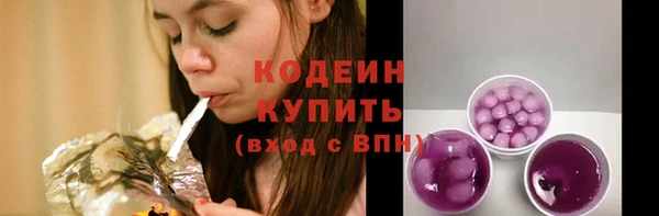 гашик Киренск