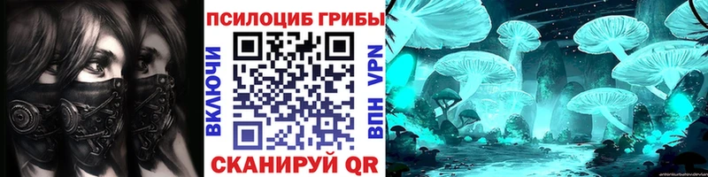 Галлюциногенные грибы Psilocybe omg как войти Уяр цена