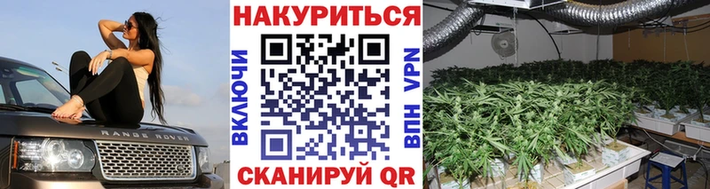 мориарти телеграм  Уяр  Каннабис VHQ 